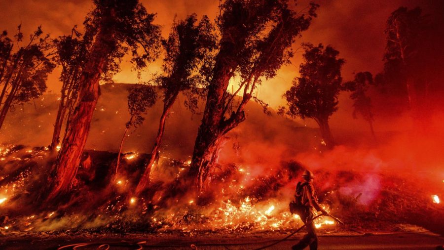 California Wildfires: What can we do?