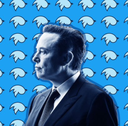 Elon Musk and The Bird App