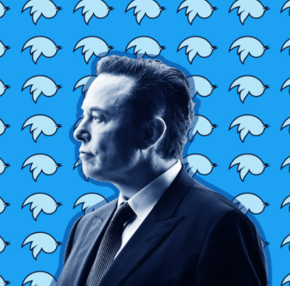 Player 1 (The Bird) Elon musk by Abdulrahman Al-ottafi on Dribbble