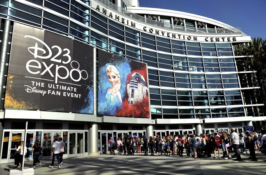 D23 in Review