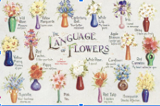 Floriography: How Flowers Can Speak to Us